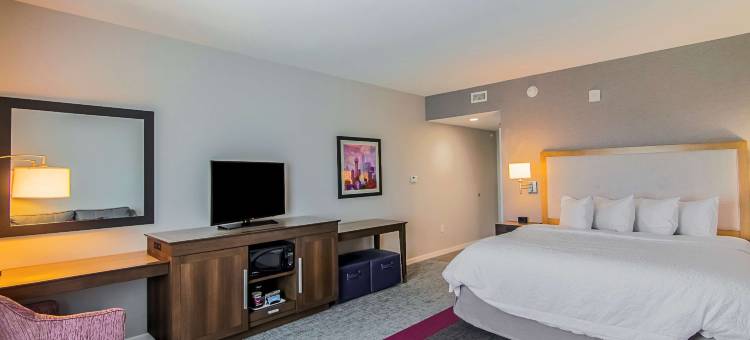 达拉斯/理查森欢朋酒店及套房(Hampton Inn & Suites Dallas/Richardson)图片