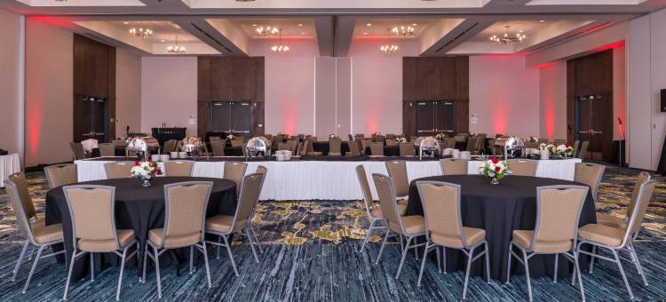 洲际酒店集团假日酒店底特律西北 - 利沃尼亚(Holiday Inn Detroit Northwest - Livonia)图片