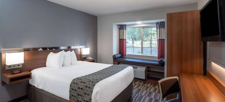 普勒-萨凡纳麦客达套房酒店(Microtel Inn & Suites by Wyndham Pooler/Savannah)图片