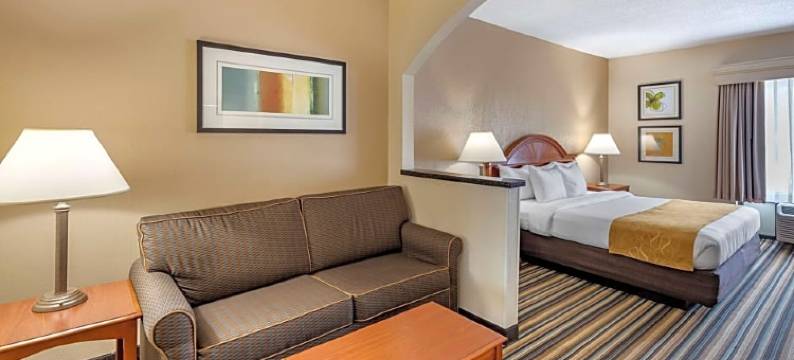 诺福克郡切萨皮克舒适套房酒店(Comfort Suites Chesapeake - Norfolk)图片