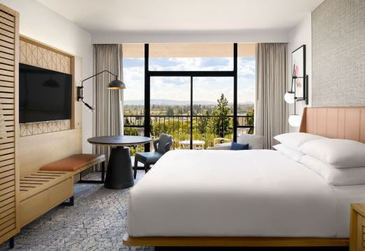 Sheraton Park Hotel at The Anaheim Resort Hotel Overview