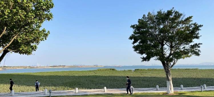 蔚蓝海屋公寓(滨同路分店)图片