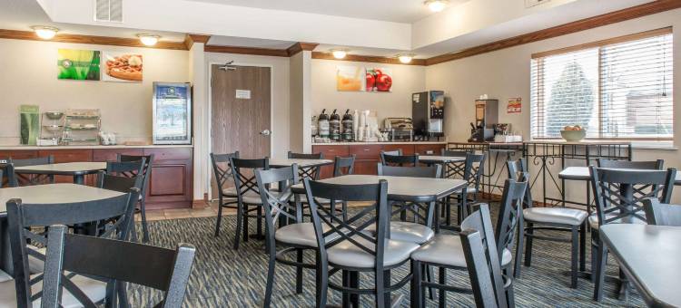 凯艺套房酒店(Quality Inn & Suites)图片