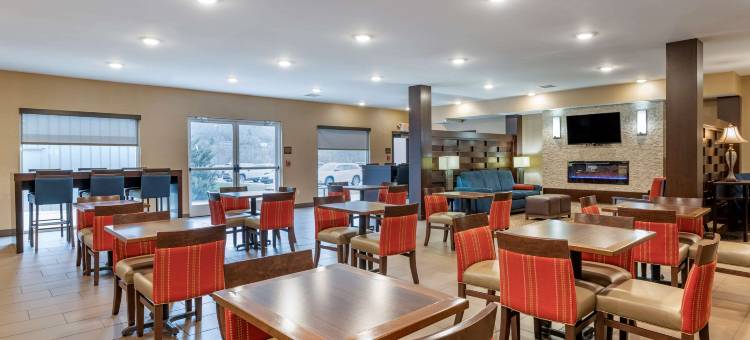 舒适套房酒店-北肯塔基(Comfort Inn & Suites Northern Kentucky)图片