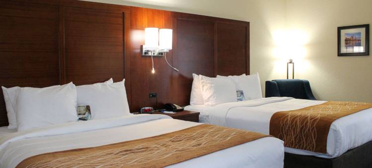 舒适套房酒店(Comfort Inn & Suites Fultondale Gardendale I-65)图片