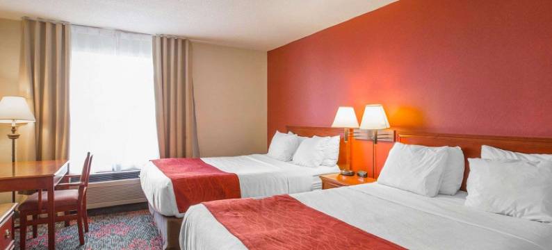 舒适酒店及套房大学(Comfort Inn & Suites University)图片