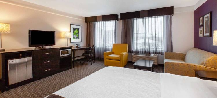 底特律乌蒂卡拉昆塔温德姆套房酒店(La Quinta Inn & Suites by Wyndham Detroit Utica)图片