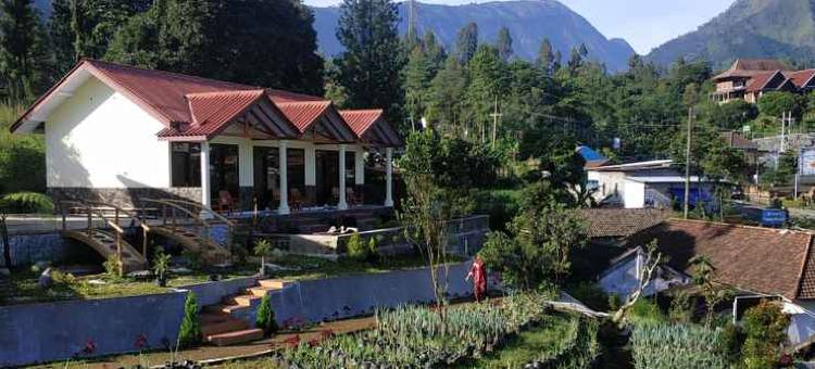 古布克恩德索布罗莫(Gubuk Ndeso Bromo)图片