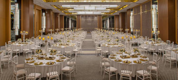 迪亚巴克尔瑞享酒店(Mövenpick Diyarbakir)图片