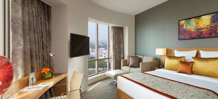 勒克瑙格姆提纳加诺富特酒店(Novotel Lucknow Gomti Nagar)图片