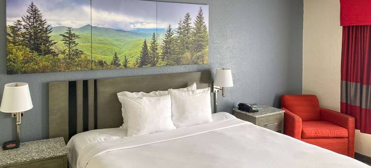 凯隆波因特酒店 - 格林斯伯勒休憩游乐区(Clarion Pointe - Greensboro Coliseum Area)图片