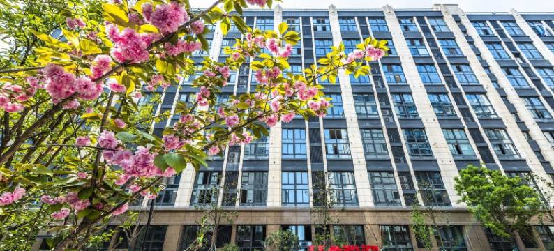 莓儿民宿(七瑶路分店)图片