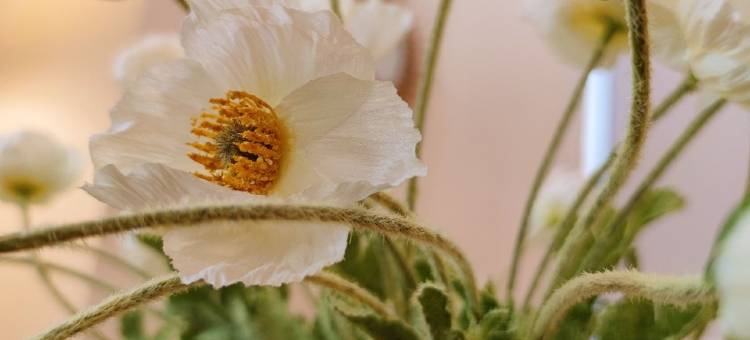 子棋公寓(环城南路分店)图片