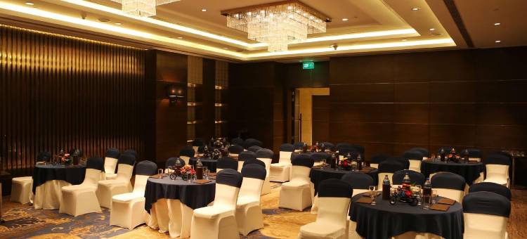 新德里机场城傲世广场酒店(Pride Plaza Hotel, Aerocity New Delhi)图片