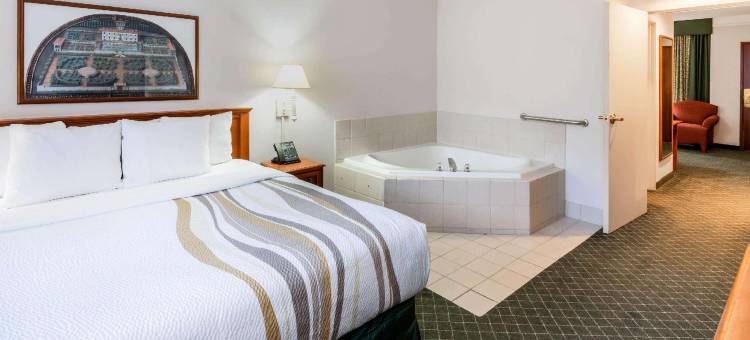 麦迪逊美国中心拉昆塔温德姆套房酒店(La Quinta Inn & Suites by Wyndham Madison American Center)图片