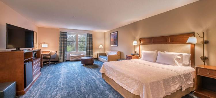 杰基尔岛欢朋套房酒店(Hampton Inn & Suites Jekyll Island)图片