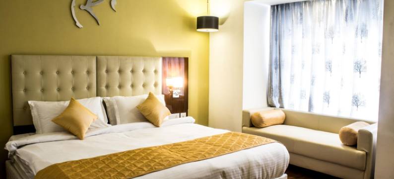 南方舒适酒店(Hotel Southern Comfort)图片