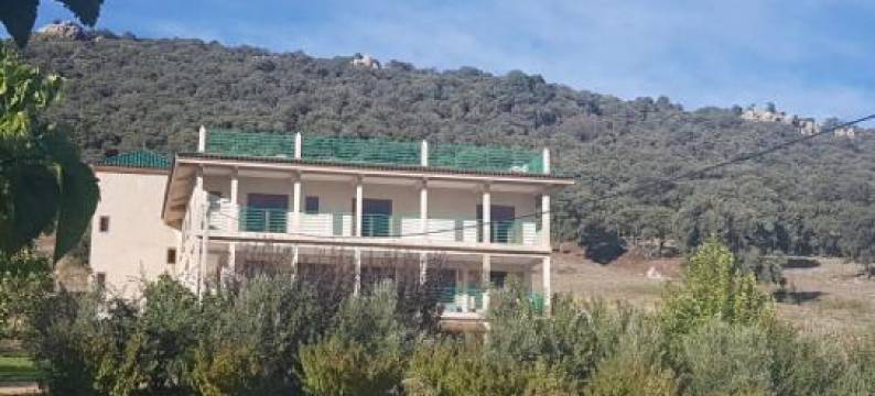 Le Chêne d´Azrou图片