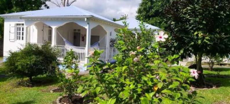 Bungalow Charmant a Capesterre Belle Eau Avec Piscine Partagee图片