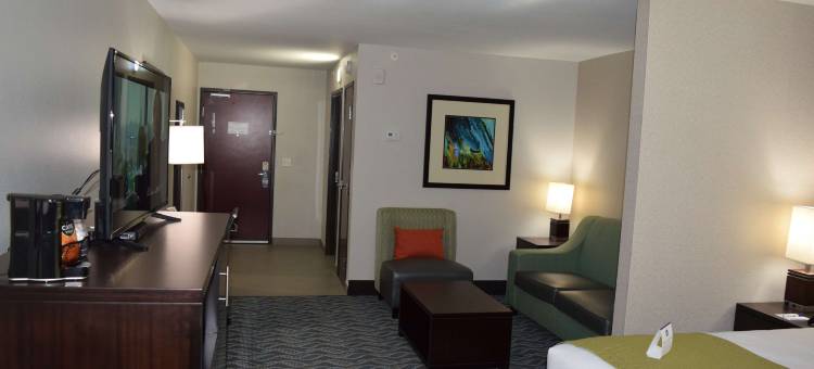 哈尔德维尔贝斯特韦斯特优质套房酒店(Best Western Plus Hardeeville Inn  Suites)图片