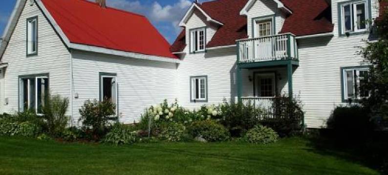 La Chouette A Mansonville图片