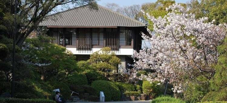 刈谷Ace Inn酒店(Ace Inn Kariya)图片