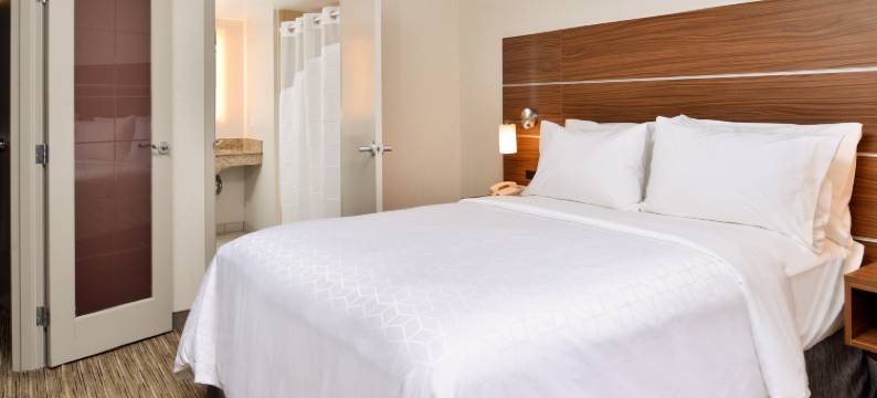 布法罗市中心智选假日套房酒店(Holiday Inn Express & Suites BUFFALO DOWNTOWN - MEDICAL CTR by IHG)图片