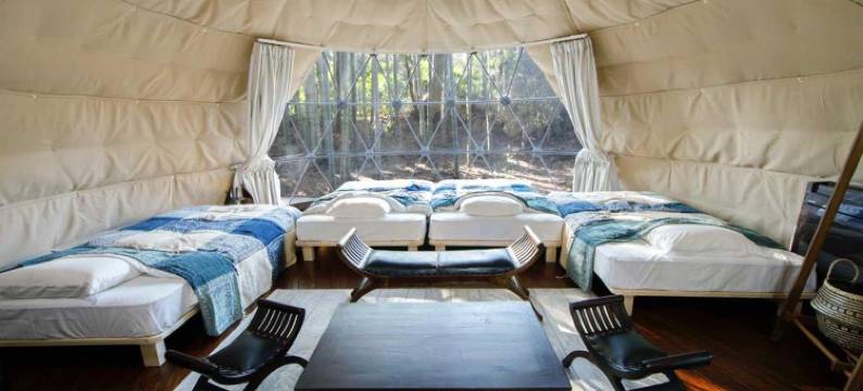 竹林动物园露营酒店(THE BAMBOO FOREST)图片