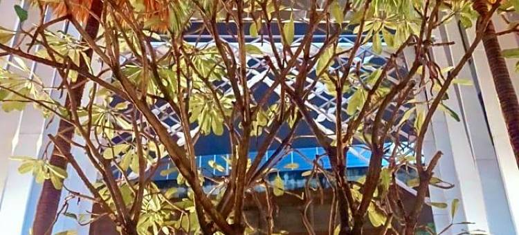 曼谷中城酒店(Bangkok Midtown Hotel)图片