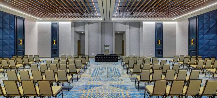 希尔顿维吉尼亚海滩海滨度假村大使套房(Embassy Suites by Hilton Virginia Beach Oceanfront Resort)图片