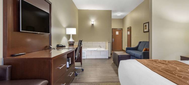 舒适套房酒店-桥港市克拉克斯堡(Comfort Suites Bridgeport - Clarksburg)图片