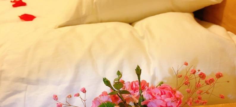 猪猪妈妈公寓(茶亭路分店)图片