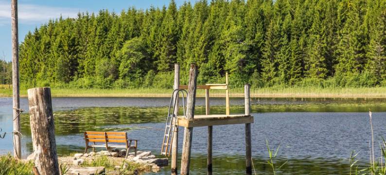 Enerhögen Lingonet图片