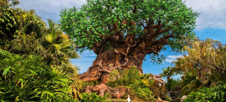 梅因盖特湖边度假酒店(Maingate Lakeside Resort)图片