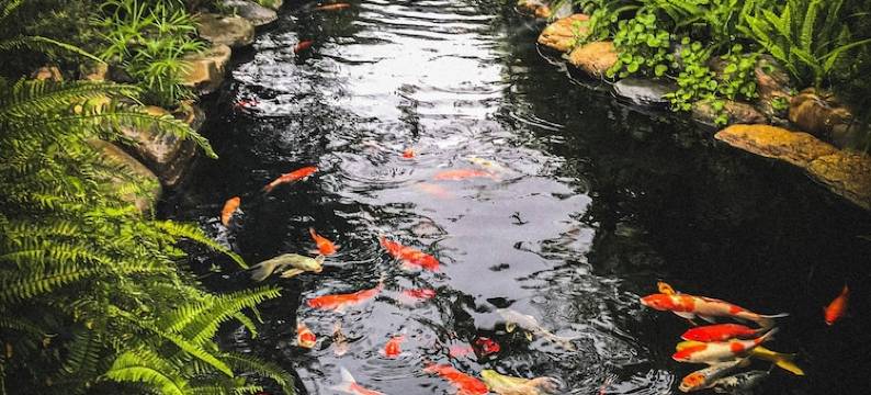 温多民宿(Window Homestay)图片