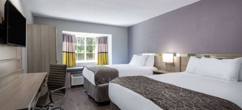 邓肯-斯帕坦堡麦客达套房酒店(Microtel Inn & Suites by Wyndham Duncan/Spartanburg)图片