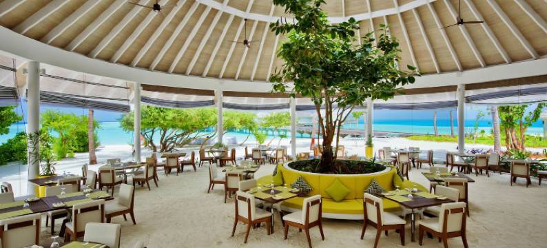 坎迪玛马尔代夫酒店(Kandima Maldives)图片