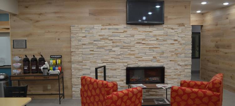 菲尔维海茨丽怡酒店(Country Inn & Suites by Radisson, Fairview Heights, IL)图片