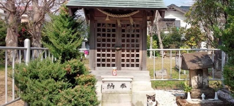 花见先下田糸園酒店(Shimoda Itoen Hotel Hanamisaki)图片