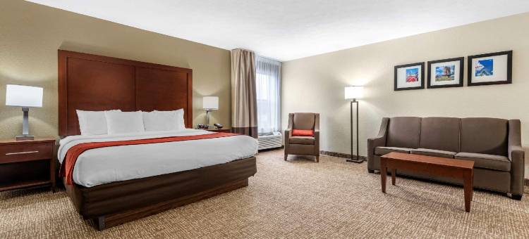 辛辛那提东门舒适套房酒店(Comfort Inn & Suites Cincinnati Eastgate)图片