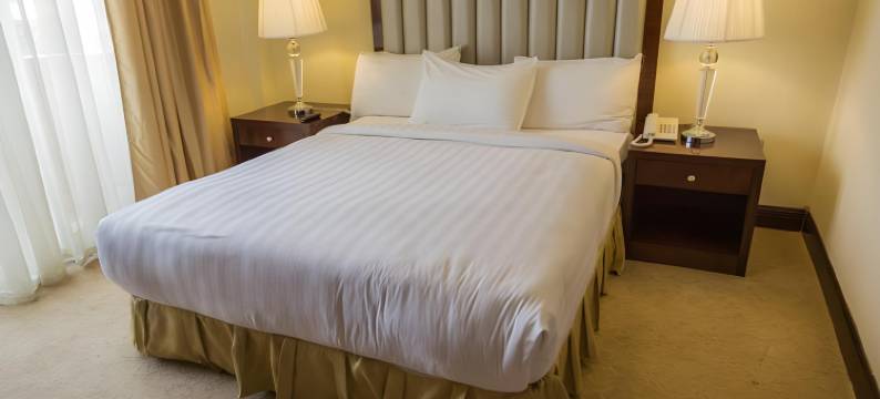 亚的斯家乡酒店(Home Town Addis Hotel)图片