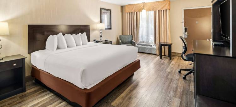 珊瑚山贝斯特韦斯特酒店(Best Western Coral Hills)图片