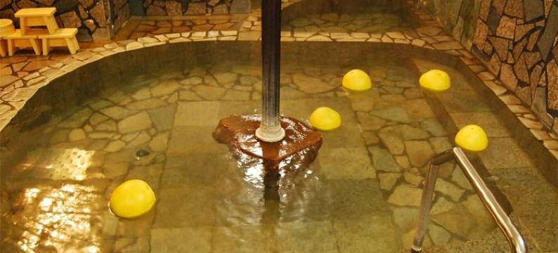 日奈久温泉 新屋旅馆(Atarashiya Ryokan)图片