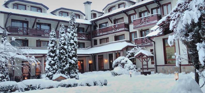 埃维莉娜宫殿酒店(Evelina Palace Hotel)图片