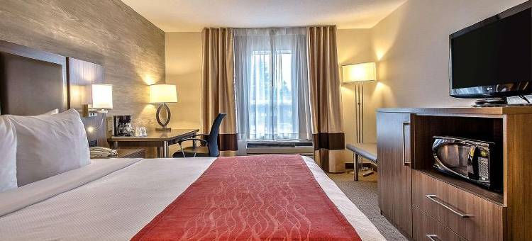 南部舒适酒店(Comfort Inn & Suites South)图片