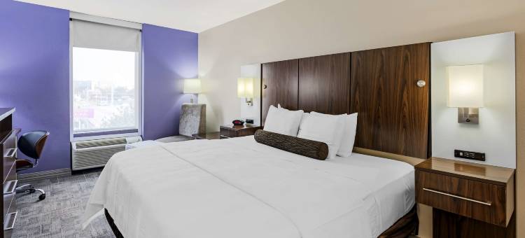 X世代贝斯特韦斯特优质酒店(Best Western Plus Gen X Inn)图片