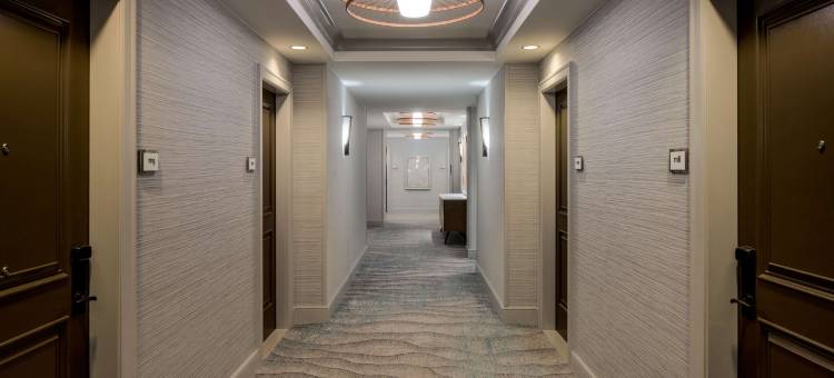 凯悦丽晶椰子角度假村及水疗中心(Hyatt Regency Coconut Point Resort & Spa Near Naples)图片