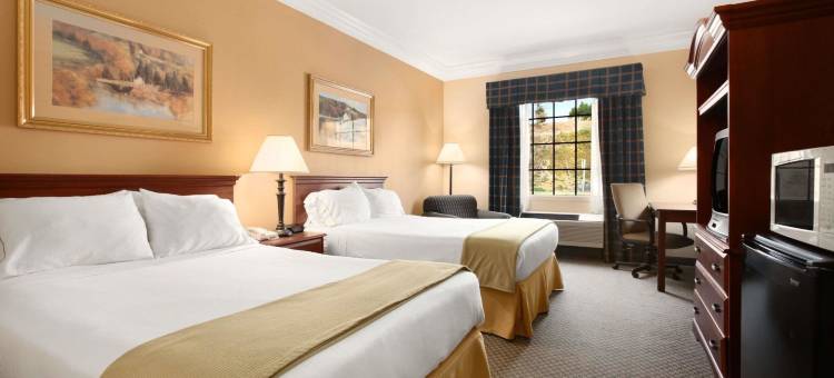 阿尔塔维斯塔戴斯酒店(Days Inn by Wyndham Altavista)图片