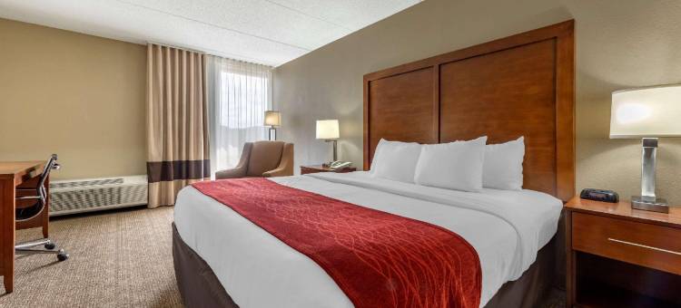 舒适酒店-克兰伯里镇游乐园(Comfort Inn Cranberry Twp)图片