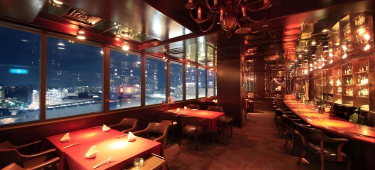 高崎华盛顿广场酒店(Takasaki Washington Hotel Plaza)图片